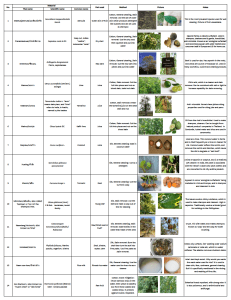 Plant chart